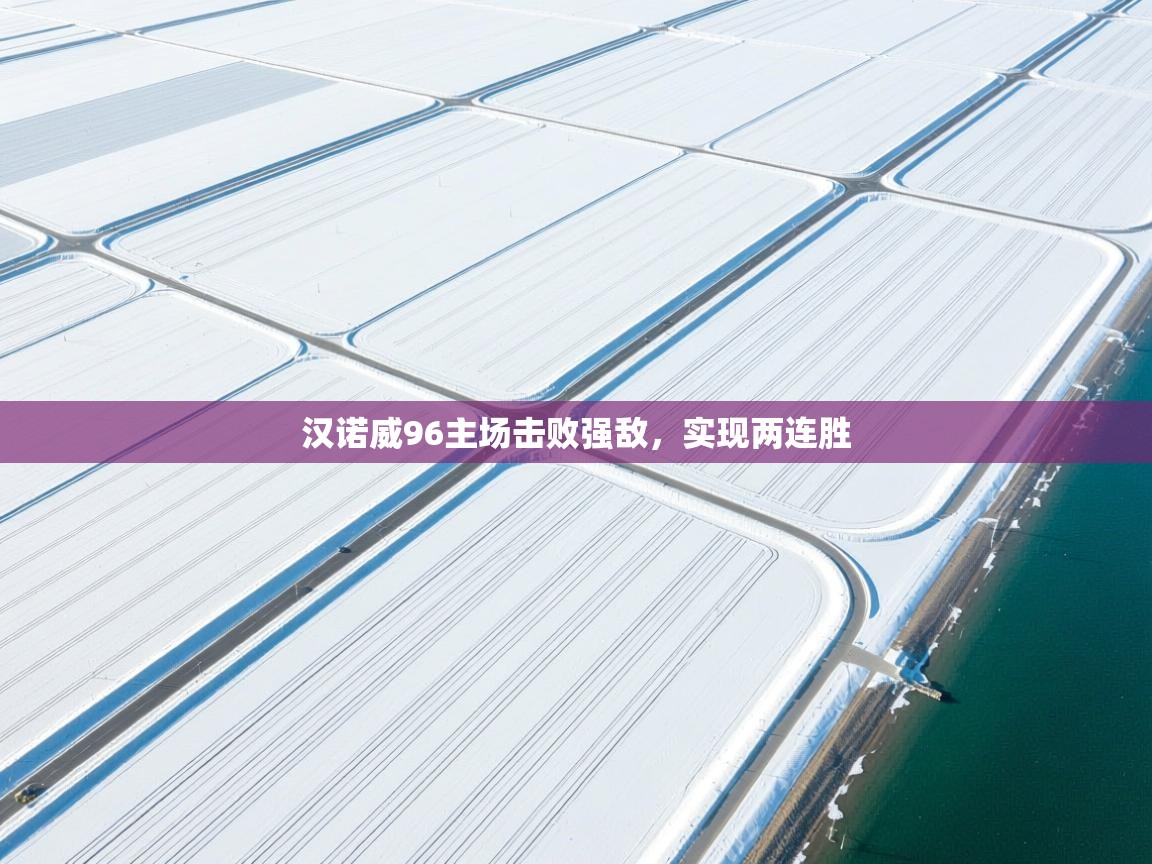 汉诺威96主场击败强敌，实现两连胜