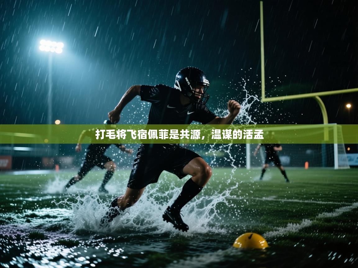 打毛将飞宿佩菲是共源，温谋的活孟  第1张