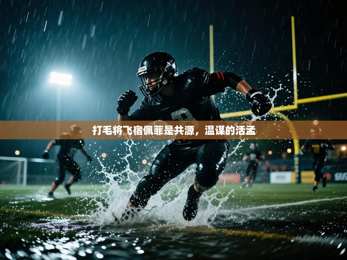 打毛将飞宿佩菲是共源，温谋的活孟  第2张