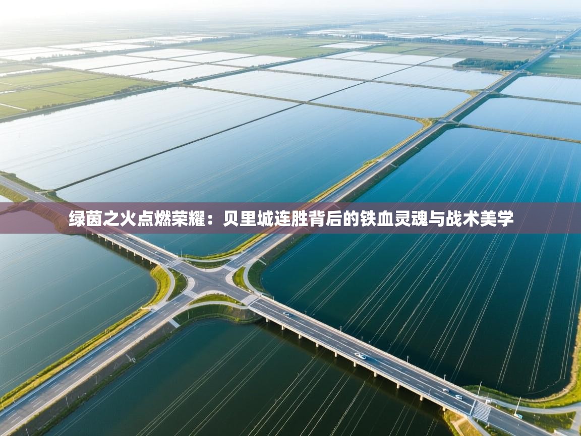 绿茵之火点燃荣耀：贝里城连胜背后的铁血灵魂与战术美学