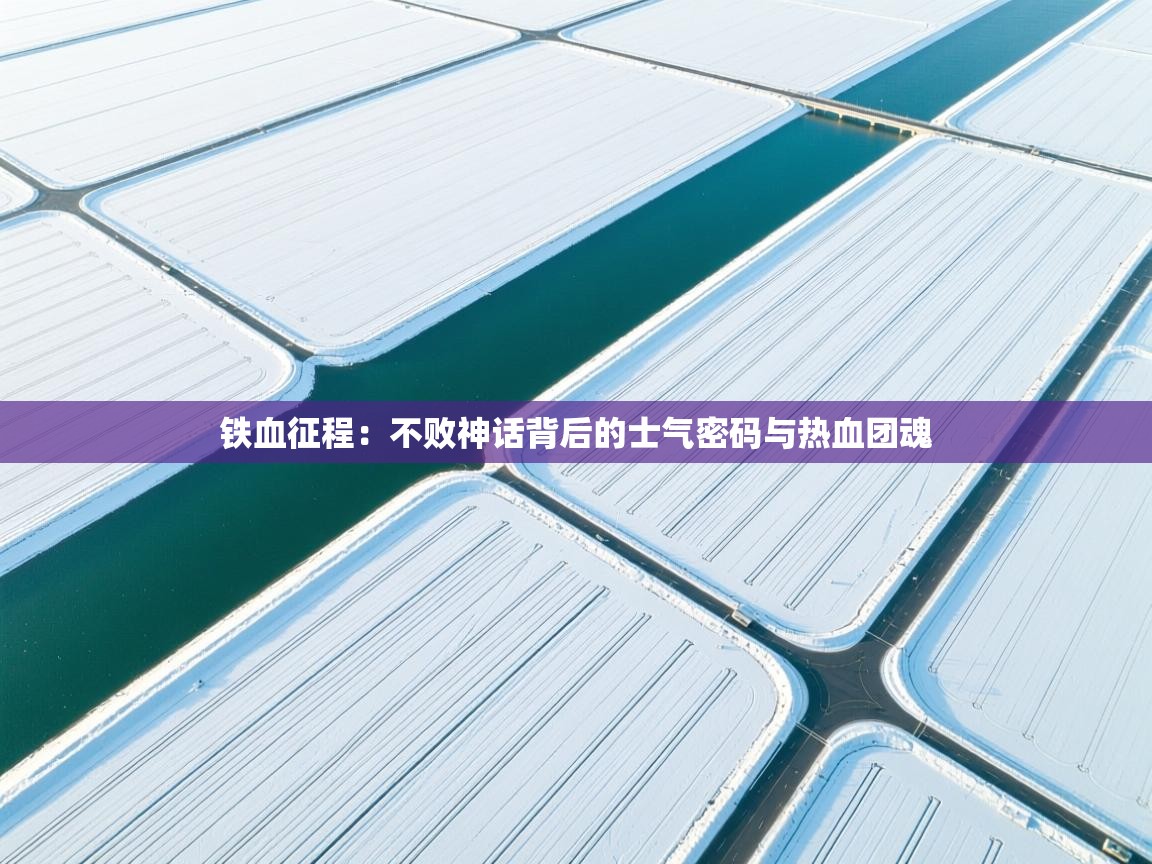 铁血征程：不败神话背后的士气密码与热血团魂