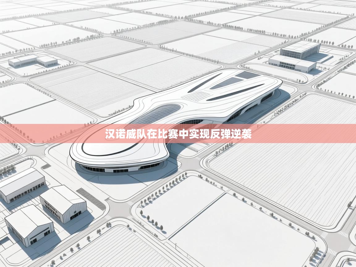 汉诺威队在比赛中实现反弹逆袭