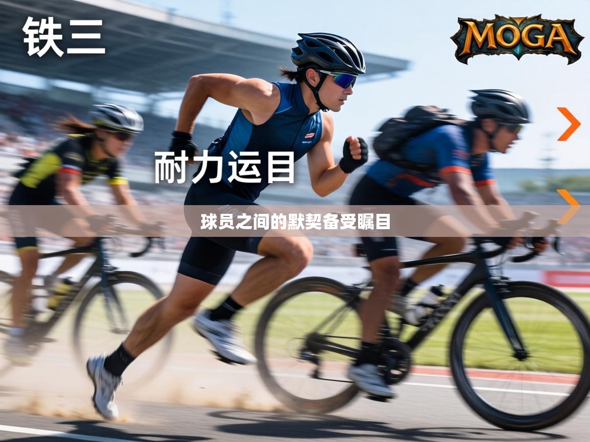 球员之间的默契备受瞩目  第2张