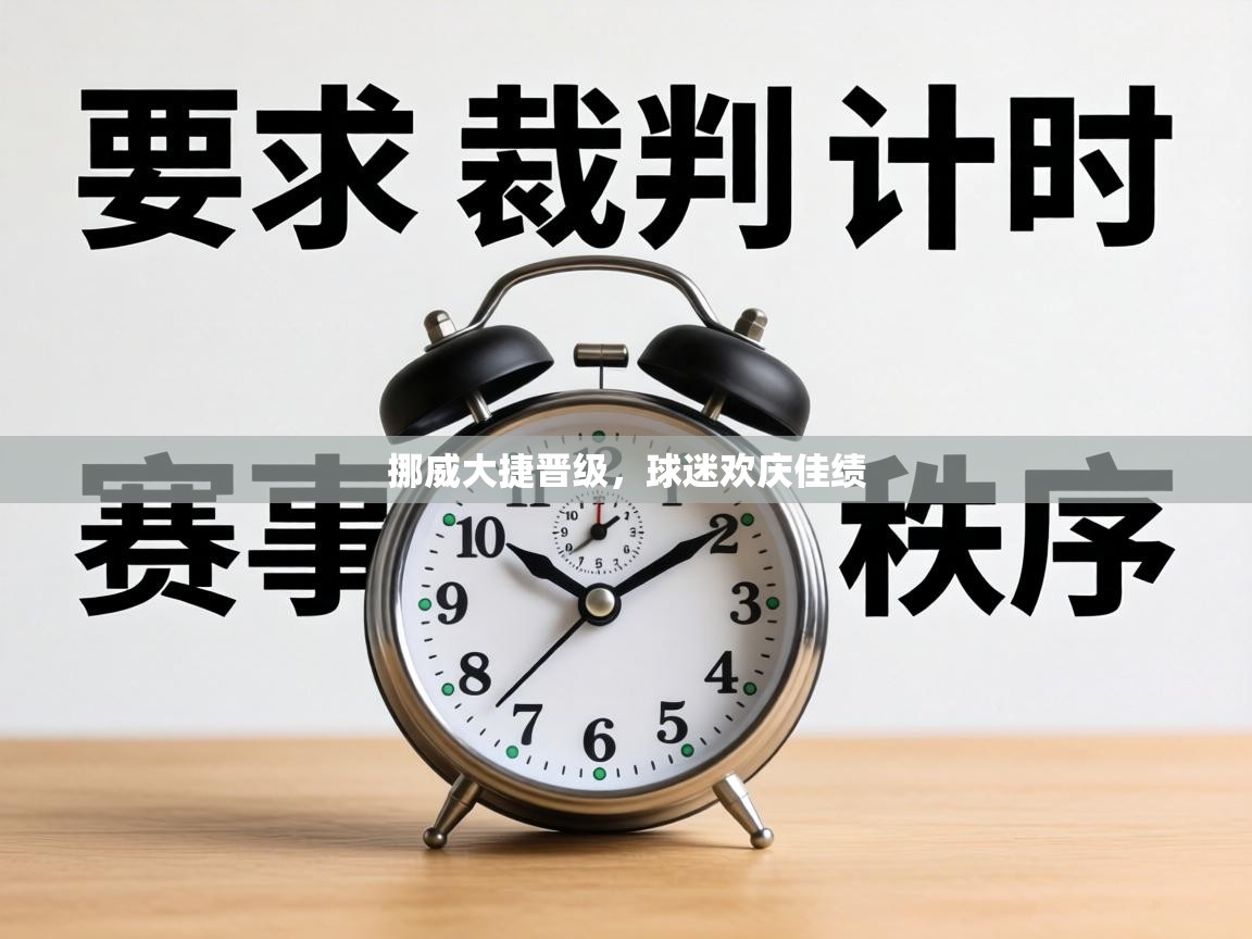 挪威大捷晋级，球迷欢庆佳绩  第1张