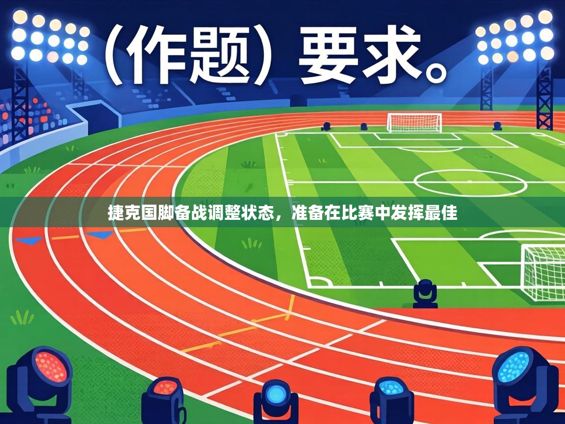 捷克国脚备战调整状态，准备在比赛中发挥最佳  第2张